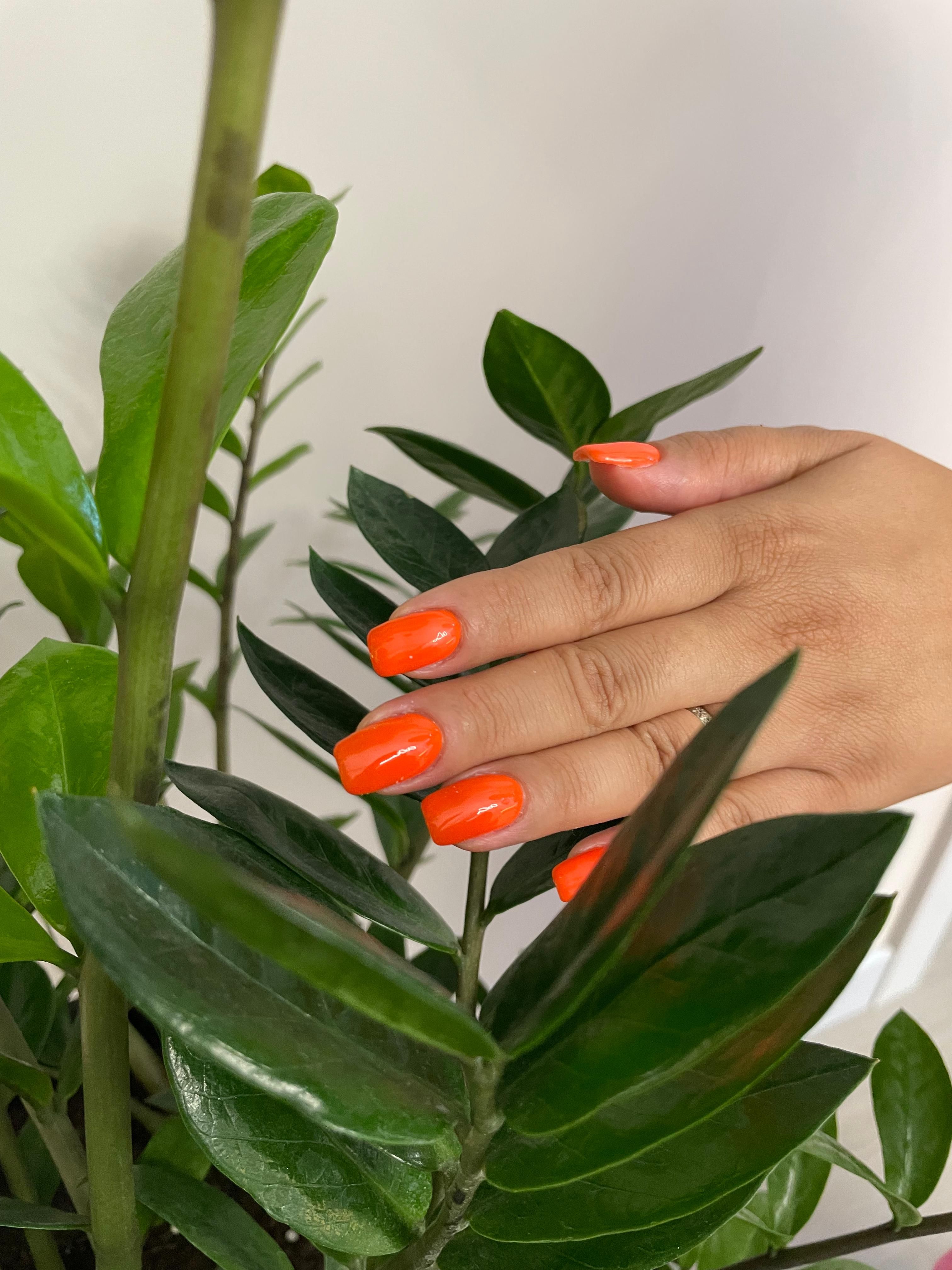 Ильина Ирина Олеговна