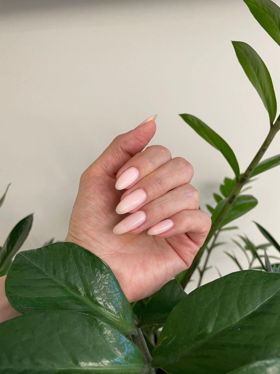 Ильина Ирина Олеговна